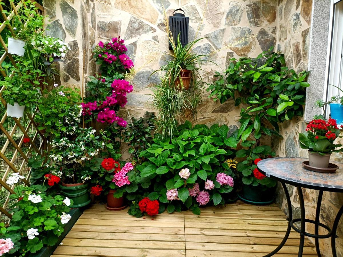 Casa Jardin Villa Monforte De Lemos Dış mekan fotoğraf