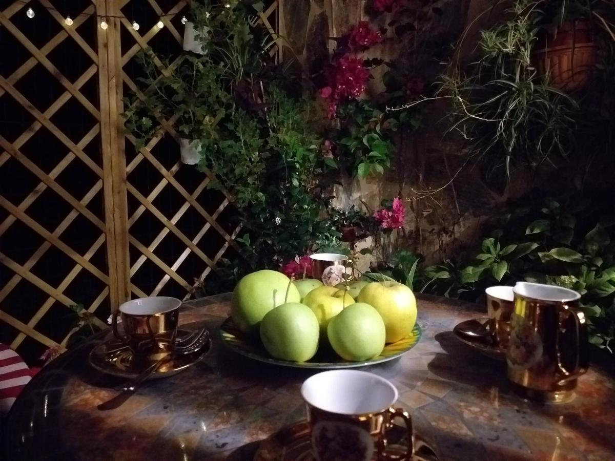 Casa Jardin Villa Monforte De Lemos Dış mekan fotoğraf