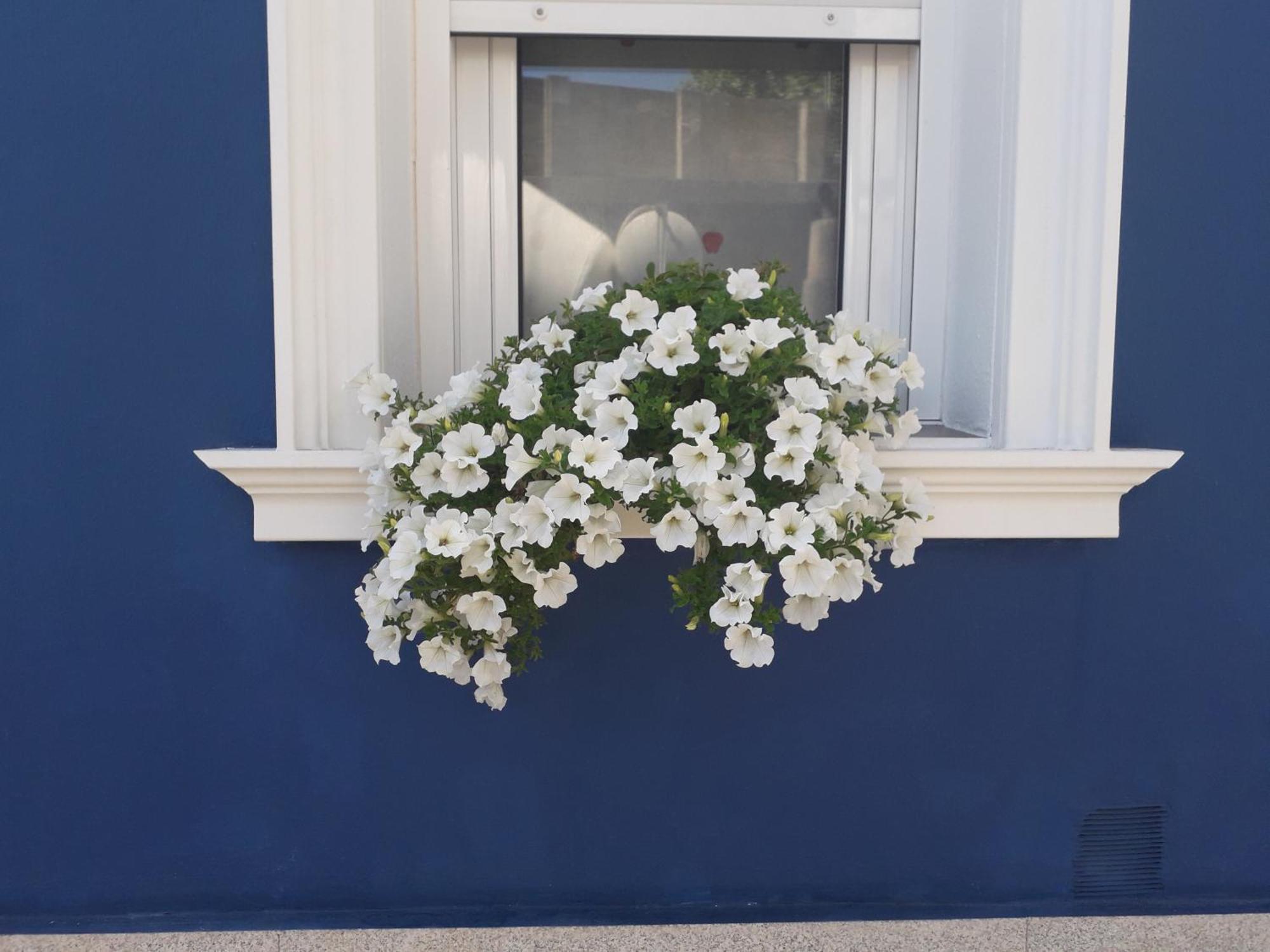 Casa Jardin Villa Monforte De Lemos Dış mekan fotoğraf